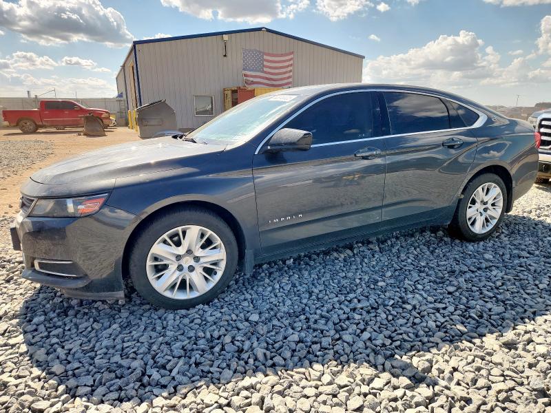 CHEVROLET IMPALA LS 2019 with VIN 2G11Y5S36K9160144 - Photo from auction