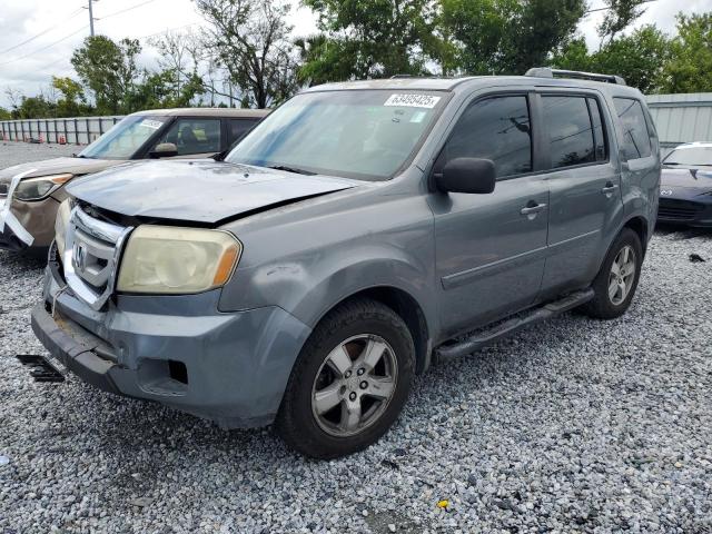 HONDA PILOT EXL 2009 with VIN 5FNYF38599B017042 - Photo from auction