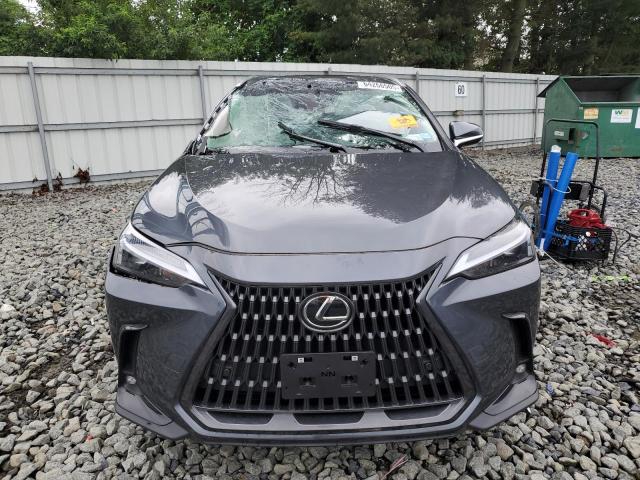 Photo 5 from auction – 2025 LEXUS NX 350 BAS with VIN 2T2AGCEZ3SC061162