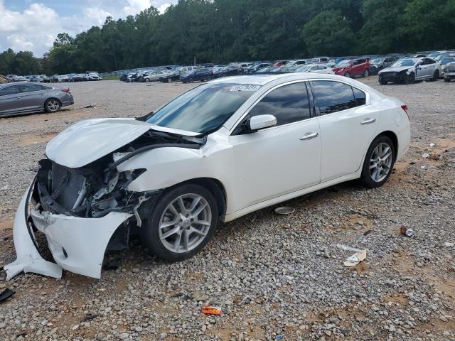 NISSAN MAXIMA S 2010 with VIN 1N4AA5AP0AC816903 - Photo from auction