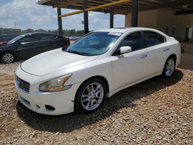 NISSAN MAXIMA S 2010 with VIN 1N4AA5AP3AC830990 - Photo from auction
