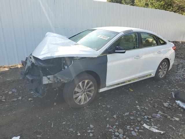 HYUNDAI SONATA SPO 2017 with VIN 5NPE34AF3HH455947 - Photo from auction