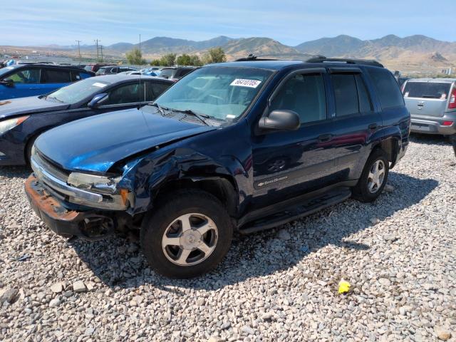CHEVROLET TRAILBLAZE 2004 with VIN 1GNDT13S142246245 - Photo from auction