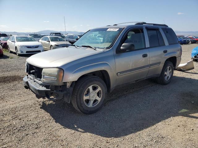 CHEVROLET TRAILBLAZE 2002 with VIN 1GNDT13S222268770 - Photo from auction