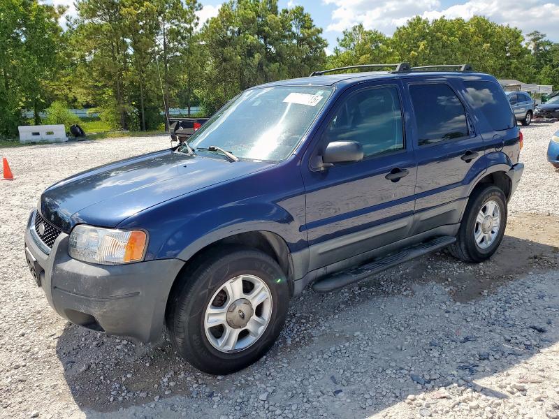 FORD ESCAPE XLT 2004 with VIN 1FMYU03134DA22466 - Photo from auction