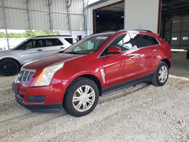 CADILLAC SRX 2011 with VIN 3GYFNGEY5BS509509 - Photo from auction