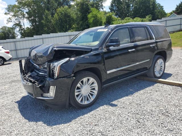 CADILLAC ESCALADE P 2019 with VIN 1GYS4DKJ7KR137682 - Photo from auction