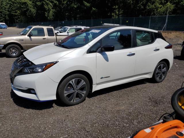 Photo 1 from auction – 2019 NISSAN LEAF S PLU with VIN 1N4BZ1CP2KC319825