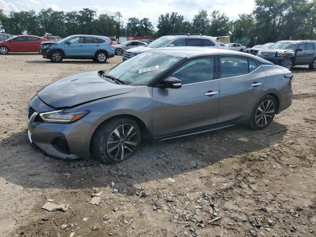 NISSAN MAXIMA SV 2023 with VIN 1N4AA6CV8PC509974 - Photo from auction