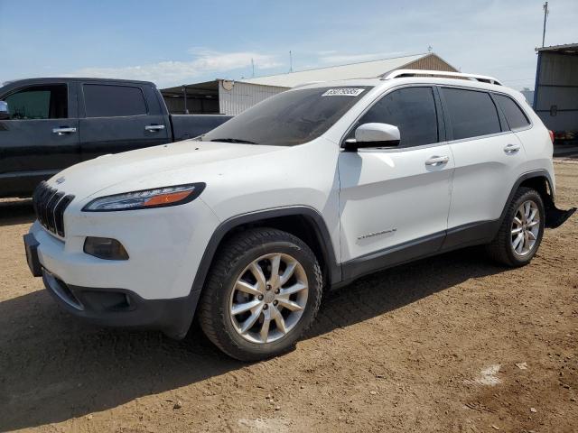 JEEP CHEROKEE 2014 with VIN 1C4PJMDB2EW132874 - Photo from auction