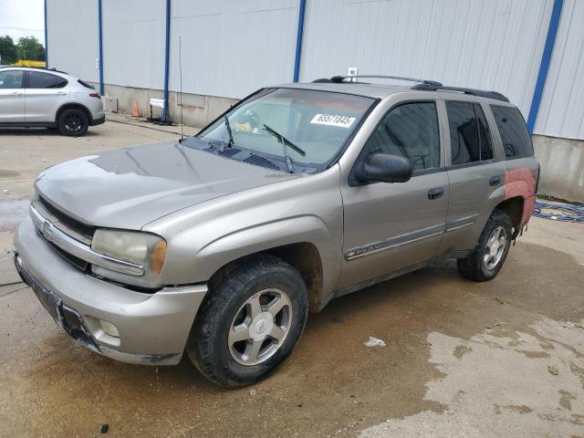 CHEVROLET TRAILBLAZE 2002 with VIN 1GNDT13S022466862 - Photo from auction