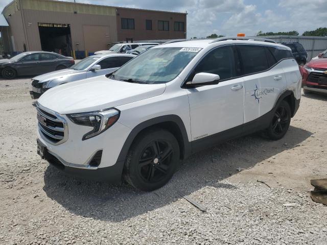 GMC TERRAIN SL 2020 with VIN 3GKALVEV7LL103425 - Photo from auction