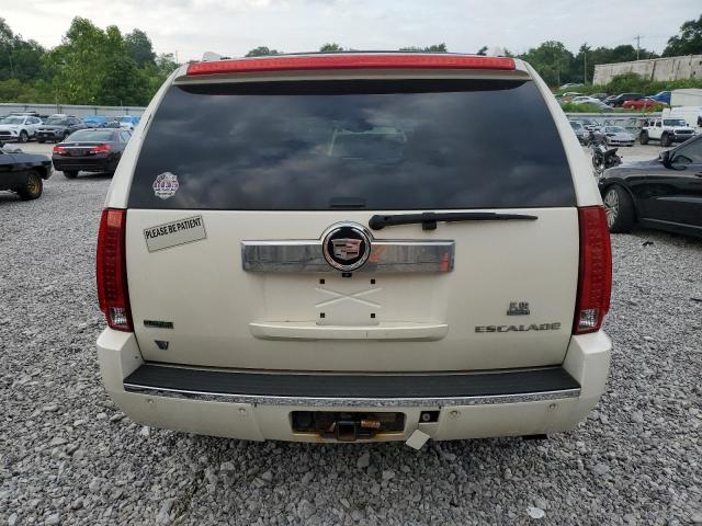 Photo 6 from auction – 2010 CADILLAC ESCALADE LUXURY with VIN 1GYUKBEF4AR138359