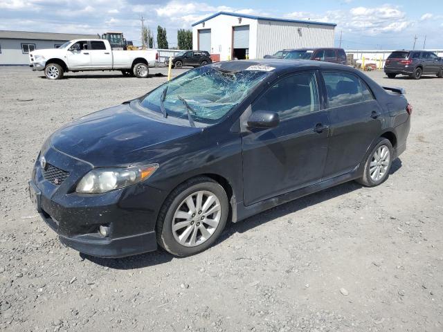 TOYOTA COROLLA BA 2010 with VIN 2T1BU4EE0AC407512 - Photo from auction
