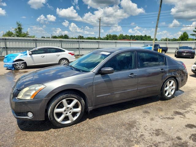 NISSAN MAXIMA SE 2006 with VIN 1N4BA41E16C849753 - Photo from auction