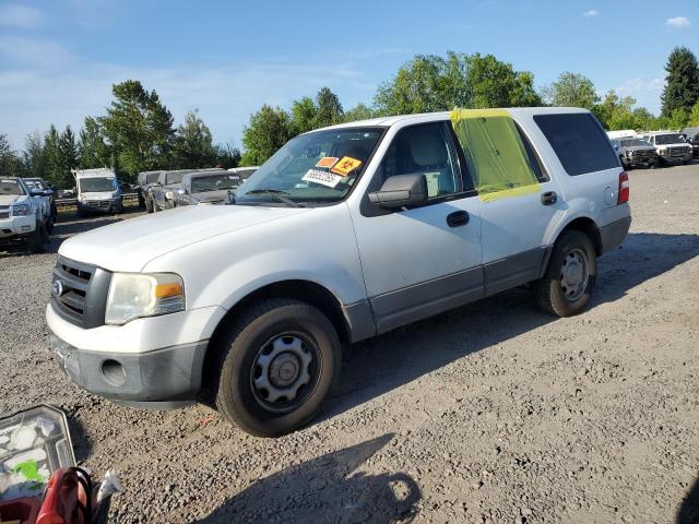 FORD EXPEDITION 2010 with VIN 1FMJU1F51AEA47653 - Photo from auction