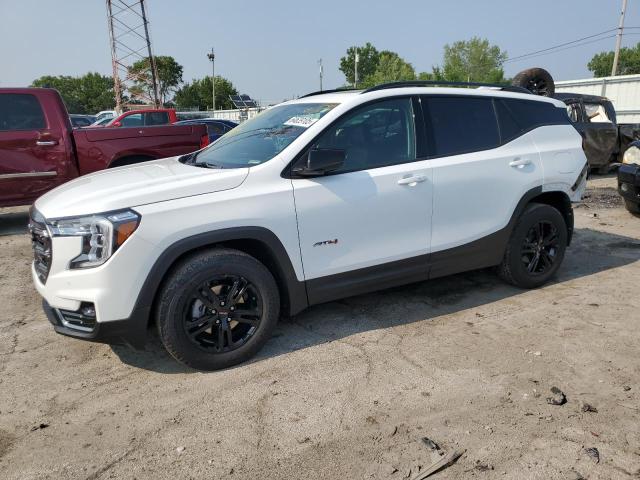 GMC TERRAIN AT 2024 with VIN 3GKALYEG9RL389869 - Photo from auction