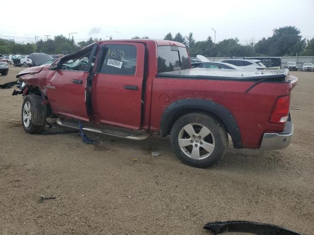 Photo 2 from auction – 2009 DODGE RAM 1500 with VIN 1D3HV13T29S720246