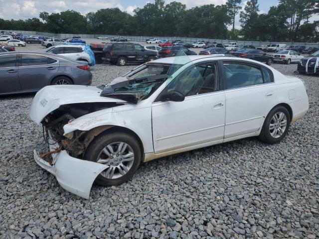 NISSAN ALTIMA BAS 2002 with VIN 1N4AL11D62C185701 - Photo from auction
