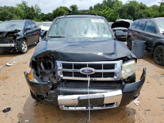 Photo 5 from auction – 2011 FORD ESCAPE LIM with VIN 1FMCU9EGXBKB50549