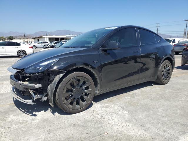 TESLA MODEL Y 2024 with VIN 7SAYGDED6RF101479 - Photo from auction