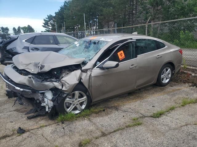 CHEVROLET MALIBU LT 2024 with VIN 1G1ZD5ST8RF164700 - Photo from auction