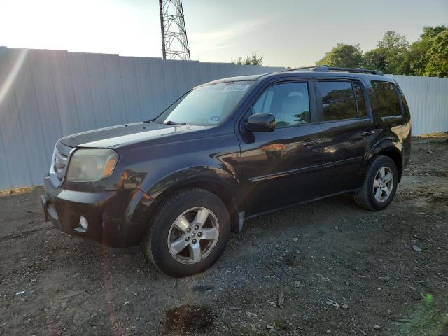 HONDA PILOT EXL 2011 with VIN 5FNYF4H55BB009564 - Photo from auction
