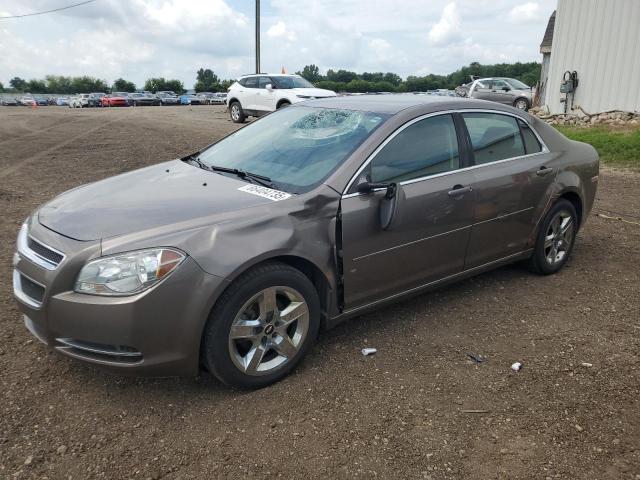 CHEVROLET MALIBU 1LT 2010 with VIN 1G1ZC5EB2AF321695 - Photo from auction