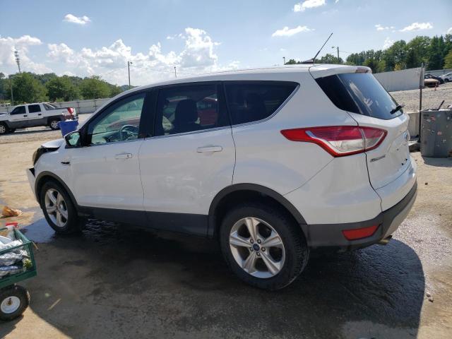 Photo 2 from auction – 2014 FORD ESCAPE SE with VIN 1FMCU0GX6EUE49229