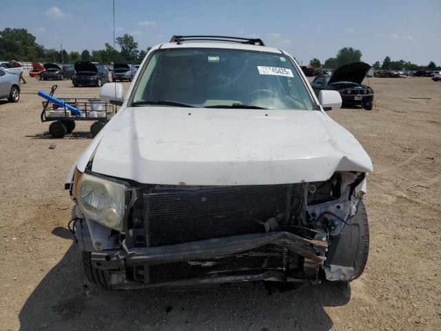 Photo 5 from auction – 2008 FORD ESCAPE LIM with VIN 1FMCU04138KD76367