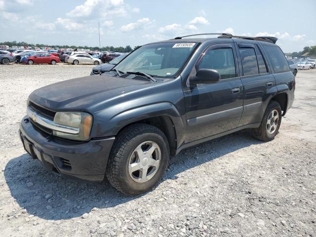 CHEVROLET TRAILBLAZE 2005 with VIN 1GNDT13S352307869 - Photo from auction