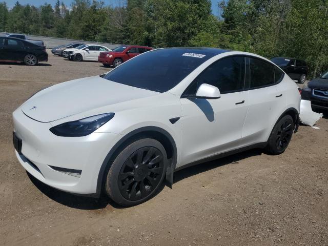 TESLA MODEL Y 2022 with VIN 7SAYGDEE2NF564402 - Photo from auction