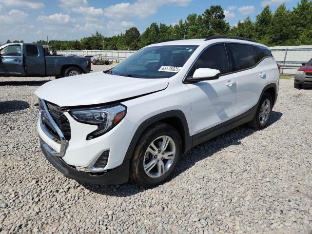 GMC TERRAIN SL 2018 with VIN 3GKALMEV3JL139037 - Photo from auction
