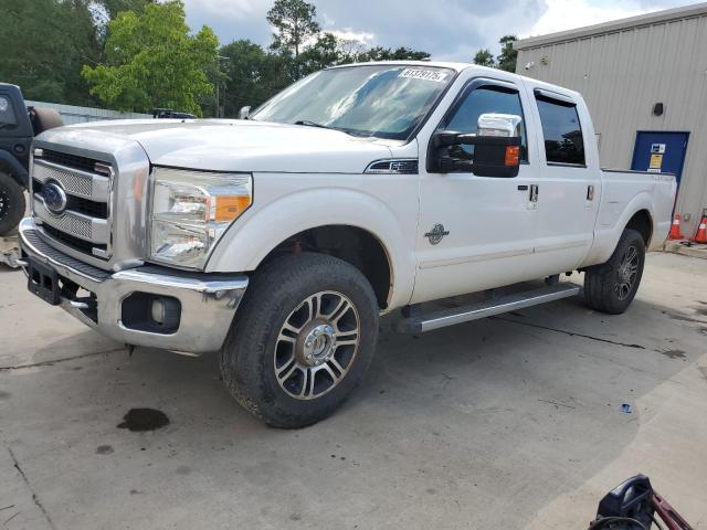 FORD F250 SUPER 2014 with VIN 1FT7W2BT4EEA70496 - Photo from auction