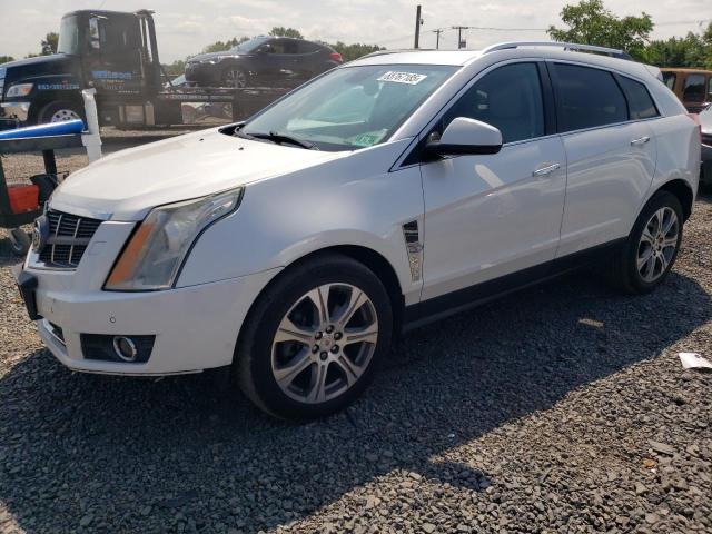 CADILLAC SRX PERFOR 2012 with VIN 3GYFNEE30CS612637 - Photo from auction