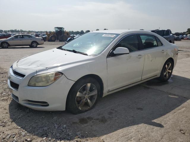 CHEVROLET MALIBU 1LT 2011 with VIN 1G1ZC5EU1BF366954 - Photo from auction
