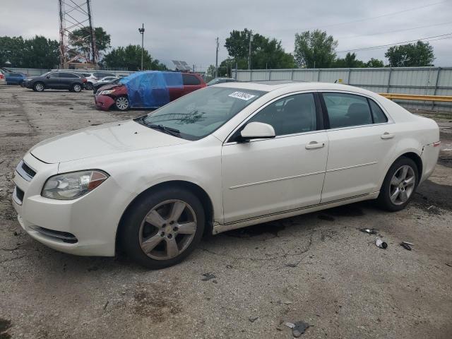 CHEVROLET MALIBU 1LT 2011 with VIN 1G1ZC5E13BF239063 - Photo from auction
