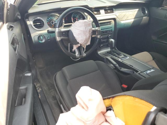 Photo 8 from auction – 2014 FORD MUSTANG with VIN 1ZVBP8AM4E5284440