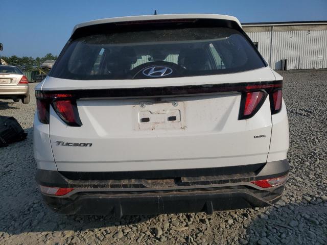 Photo 6 from auction – 2024 HYUNDAI TUCSON SE with VIN 5NMJACDE8RH436892