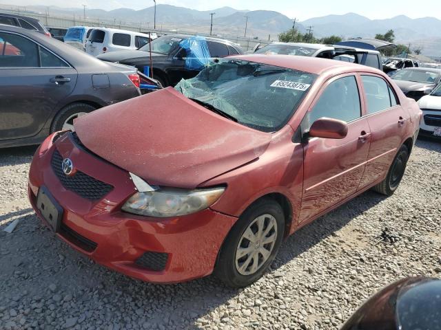 TOYOTA COROLLA BA 2010 with VIN 1NXBU4EE0AZ172513 - Photo from auction