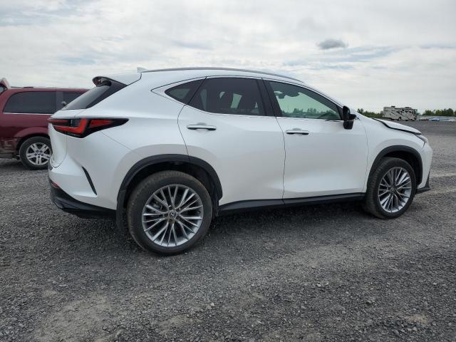 Photo 3 from auction – 2024 LEXUS NX 350H BA with VIN 2T2GKCEZ6RC030250