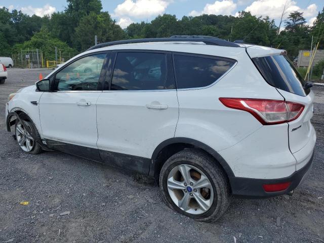 Photo 2 from auction – 2013 FORD ESCAPE SE with VIN 1FMCU9G94DUD06591
