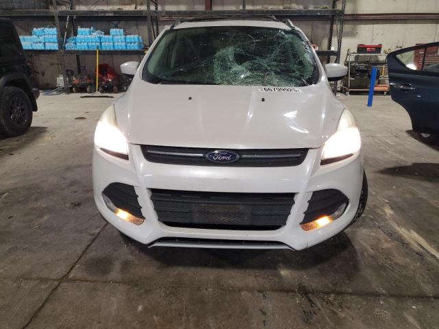 Photo 5 from auction – 2013 FORD ESCAPE SE with VIN 1FMCU0GX7DUD00648