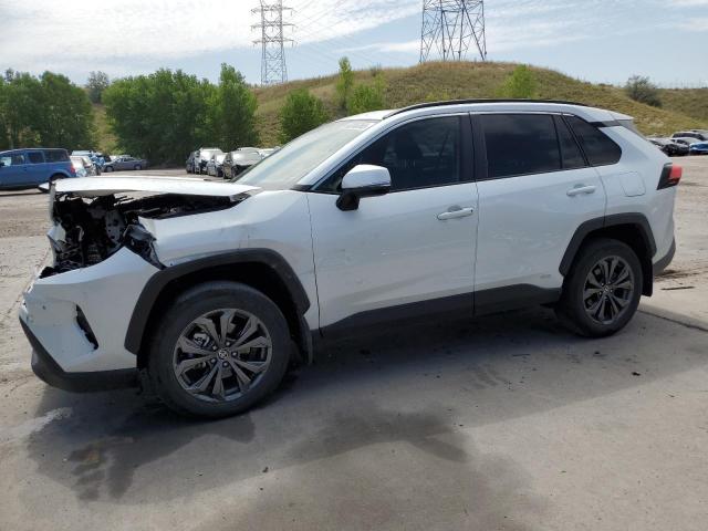 Photo 1 from auction – 2024 TOYOTA RAV4 XLE P with VIN 2T3B6RFV2RW062135