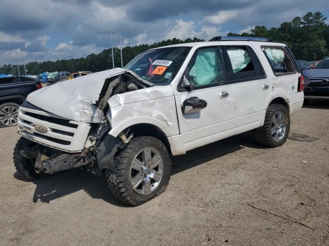 FORD EXPEDITION 2009 with VIN 1FMFU19569EA97297 - Photo from auction