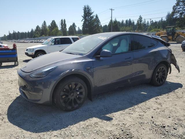 TESLA MODEL Y 2023 with VIN 7SAYGDEE7PF900094 - Photo from auction
