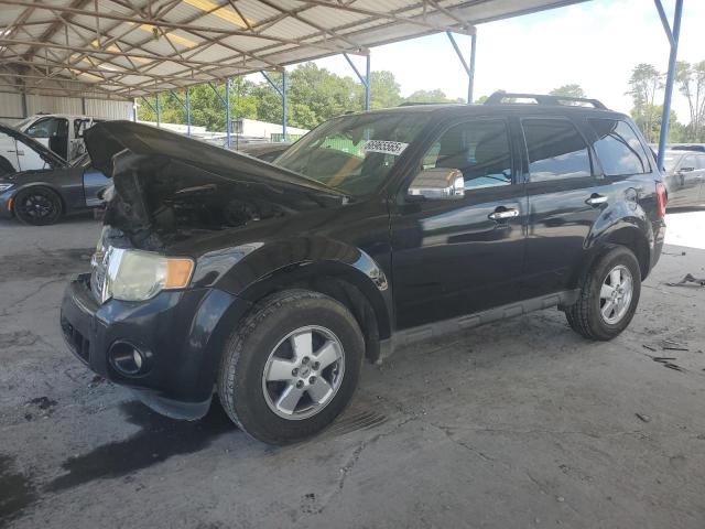 FORD ESCAPE XLT 2011 with VIN 1FMCU0D7XBKB35465 - Photo from auction