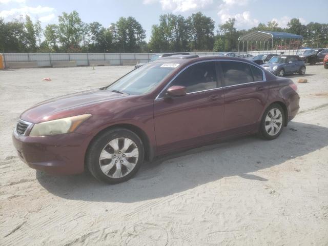 HONDA ACCORD EX 2010 with VIN 1HGCP2F74AA143524 - Photo from auction