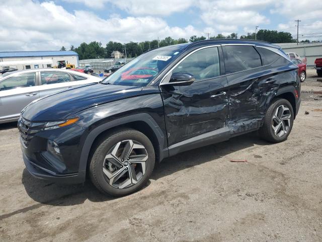 HYUNDAI TUCSON LIM 2023 with VIN 5NMJECAE3PH196768 - Photo from auction