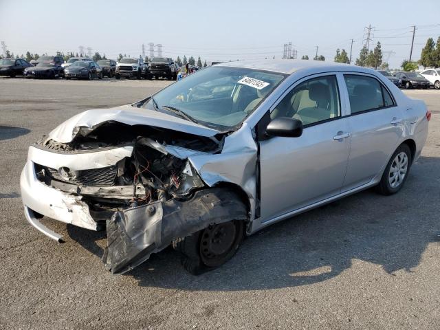 TOYOTA COROLLA BA 2009 with VIN JTDBL40E29J005565 - Photo from auction